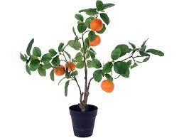 Consider the apple tree, for example. Artificial Fruit Tree Mix H55cm Artificial Plants Flowers Dubai Garden Centre