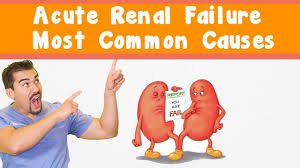 Acute renal failure is a rapid condition (almost less than 2 days) when the kidneys fail in their ability to losing a lot of blood can cause sudden kidney failure. Acute Renal Failure Most Common Causes Youtube