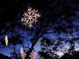 B4888445b009a84a178c9ebdccfeecca Lights In Trees Snowflake Lights Jpg 736 552 Snowflake Lights Outdoor Christmas Lights Christmas Tree Lighting