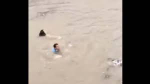 Jul 03, 2021 · 6月30日，记者从黄河水利委员会获悉，7月1日，黄河进入主汛期。 为腾库迎汛，6月19日起，黄委实施2021年汛前调水调沙，4000立方米每秒以上量级洪水持续时间较长，为1996年以来第二大量级洪水，我省黄河防汛正经历重大考验. Au4rgivmvz8rlm