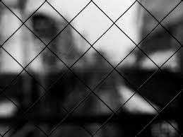 Mesh Cells Bw Blur Background Toppng