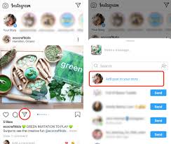 • circle instagram animation green screen help the channel. How To Repost Instagram Feed Posts Stories Igtv And Reels Social Media Examiner