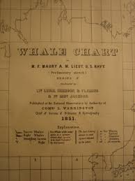 Artifact Adventures Whale Chart 1851