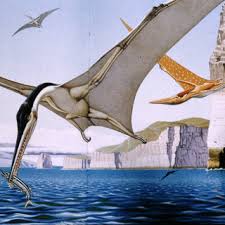 The only known species is c. An Original Plate For The Chapter I Rettili Volanti And Other Download Scientific Diagram