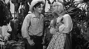 All-american Co-ed (1941) Frances Langford, Johnny Downs, Marjorie Woodworth