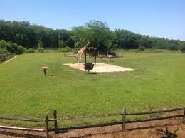Cape may county park & zoo. Giraffes Feeding Time Picture Of Cape May County Park Zoo Cape May Court House Tripadvisor