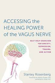 Somos observadores o jugadores, y esta es la porque el real villano sos vos cuando con el dedito y desde tu smartphone decidís quien está nominado. Amazon Com Accessing The Healing Power Of The Vagus Nerve Self Help Exercises For Anxiety Depression Trauma And Autism 9781623170240 Rosenberg Stanley Shield Benjamin Porges Stephen W Books