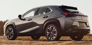 Image result for Nori Green 2023 UX