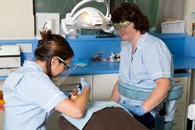 Dental services are provided at our apopka, forest city, four corners, groveland, lake ellenor. Community Dental Services Improving Oral Health In Ever More Communities