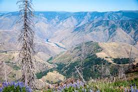 Oregon shares its borders with washington on the northern front and california and nevada encircles the state from south. Hells Canyon Oregon Idaho Usa Franks Travelbox