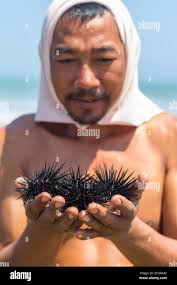 Cagayan valley hi-res stock photography and images