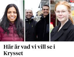 Image result for site:byggahus.se sips