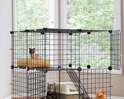 dog in a cage and a cat in a cageの画像