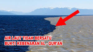 We did not find results for: Air Laut Tidak Bersatu Bukti Kebenaran Al Qur An Dalam Sains Youtube