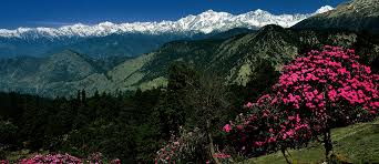 chopta tour package