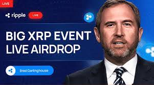 Mitchell Okeefe's Instagram, Twitter & Facebook