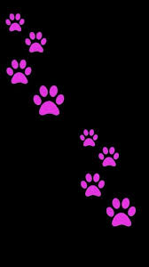 Black And White Paw Print Wallpaper Pink Paw Prints Trail Iphone Wallpaper Pink Paw Print Rose Gold Wallpaper Iphone