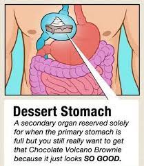 Dessert Stomach Diagram Humor Funny Funny Pictures