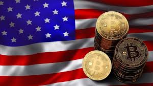Government website intended for use only by postal service employees. Tim Draper S Proposal To Replace The U S Dollar With Bitcoin Btc Usethebitcoin
