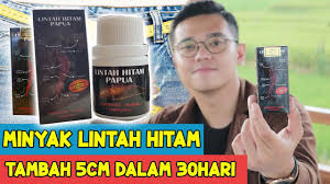 Pasir, arang, kerikil, batu dan serat kelapa. Ciri Ciri Minyak Lintah Hitam Asli Papua Order 082135203075 Youtube