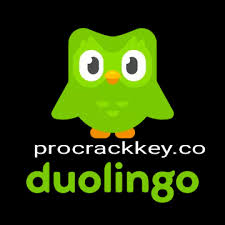 Te cuesta aprender un nuevo idioma? Duolingo Apk 5 31 3 Crack Latest Version Free Download 2021