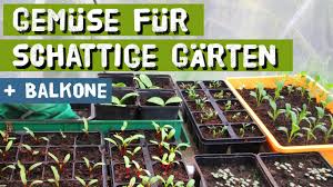 Diese übung für das gedächtnistraining zu dem thema „obst und gemüse ist ein anagramm. Gemuse Und Obst Das Im Schatten Wachst Krauter Die Du In Schattigen Garten Anbauen Kannst Youtube