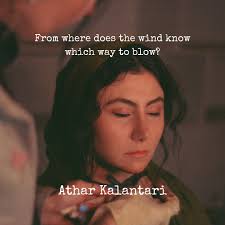 Architectural Memory Big Muddy Film Festival 2025 12 pm The Varsity Center