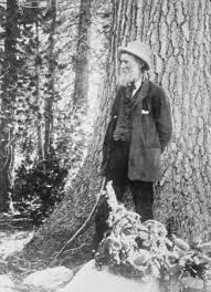 Muir Woods National Monument Forest California United States John Muir John Muir Quotes Muir Woods National Monument