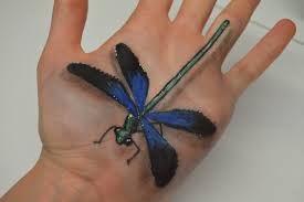 Maybe you would like to learn more about one of these? Realistic Color Dragonfly Drawing Novocom Top