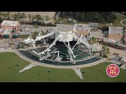 Videos Matching Cynthia Wood Revolvy