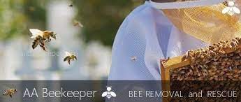 Maybe you would like to learn more about one of these? Irvine Bee Removal Irvine Bee Hive Removal And Bee Relocation