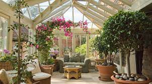 How often should i water a potted bougainvillea that is in my conservatory? Design Guide Archives Town Country Conservatories