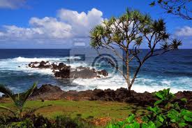 Maui pacific tours offers luxury hana excursions, rainforest and waterfall tours, and ocean activities such as guided snorkel and. Hawaii Maui Hana Kuste Felsen Fototapete Fototapeten Kuste Ufer Maui Myloview De