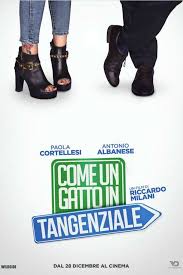 Ver Lo Dejo Cuando Quiera Online Gratis En Castellano Ver Como Un Pez Fuera Del Agua Pelicula Completa Online Descargar Como Un Pez Fuera Del Agua Pelicula Movies Online Free Movies Online Full Movies Online Free