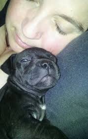 Good luck to Kitty and all the other year 6's with your Sat's this week!!  😊 x