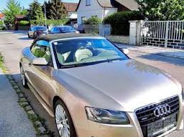 Image result for Aurum Beige 2011 A5