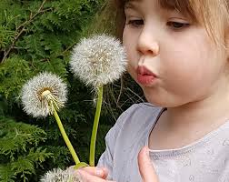 Most Holy Trinity Parish