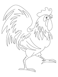 Simply click on a thumbnail to go to the collection of coloring pages for that category. Free Rooster Pictures Coloring Home