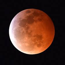 Co founded by two close friends with the same passion of. Super Blood Wolf Moon 2019 Stunning Photos Of Total Lunar Eclipse From Around The World