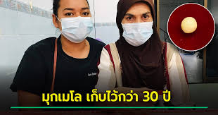 เปิดราคา 'มุกเมโล' ประมูลสูงสุดจบที่ 23 ล้านบาท! à¸¡ à¸à¹€à¸¡à¹‚à¸¥ à¹‚à¸œà¸¥ à¸à¸£à¸°à¸š à¸£à¸­à¸šà¸™ à¹€à¸ˆà¸­à¹ƒà¸™à¸«à¸­à¸¢à¹‚à¸‚ à¸‡ à¸ªà¸²à¸§à¹€à¸ à¸šà¹„à¸§ à¸™à¸²à¸™ 30 à¸› à¹€à¸Š à¸à¹à¸¥ à¸§à¹€à¸› à¸™à¸‚à¸­à¸‡à¹à¸—