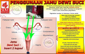Cuma jika mahu menggunakan pencuci wanita ia pada kadar berpatutan bertujuan membunuh bakteria 'baik' dipanggil lactobacillus dalam faraj wanita. Jamu Seri Dewi Malam Intan Jamu Dewi Suci Rm65 12 Kapsul Jds Merapatkan Mengetatkan Faraj Mengembalikan Dalaman Faraj Yang Berpasir Meningkatkan Kegelian Ketika Bersama Meningkatkan Kemutan Menyerap