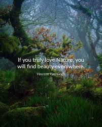 There Is Beauty In All Life Stop Look Listen Breathe We Are All Beautiful In Our Own Unique Way Just Like The Maje Nature Quotes Nature Walking In Nature
