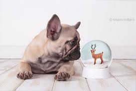 Post Holiday Post Holiday Blues Holiday