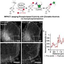 Kane Wu's research works