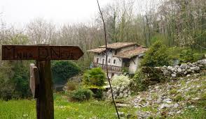 The Secret Peasant Book Club