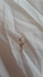 If you are looking for organic bamboo sheets, sweet zzz organic bamboo sheet could be the perfect choice for. Help Guest S Female Visitor Left Blood Stains O Airbnb Community