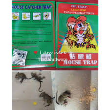 Pilih padanan kata majmuk yang sesuai. Mouse Rat Lure Trap Perangkap Tikus Gam Tikus Buku Tikus Pelekat Tikus Shopee Malaysia