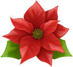 Christmas Poinsettia Png Clip Art Image Christmas Stencils Flower Art Christmas Paintings