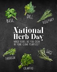 🌿Happy National Herb Day! Fresh, fragrant, full of flavour — herbs are the  heart of every Cedar Planter! Which herbs are thriving in your Cedar  Planter right now?👇 #cedarplanters #herbgarden #nationalherbday