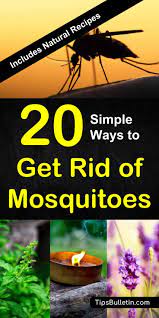 The coffee grounds force the eggs to the surface and deprive them of oxygen. How To Keep Mosquitoes Away 20 Simple Ways To Get Rid Of Mosquitoes